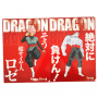 Dragon Ball - Duo de Porte-Documents Goku Rosé Et Jiren Ichiban Kuji F