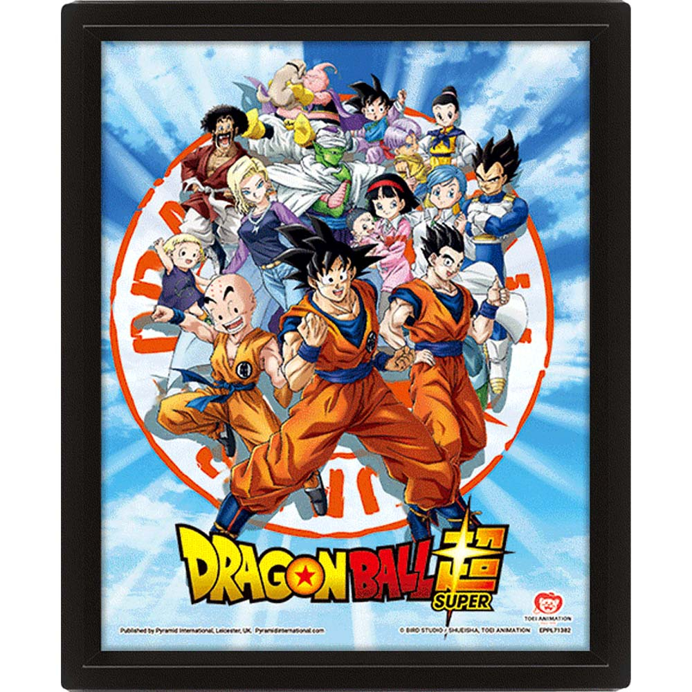 Dragon Ball Z - Poster Fighters Ball Effet 3D