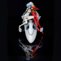 Evangelion - Duo de figurines Rei & Asuka Twinmore Object