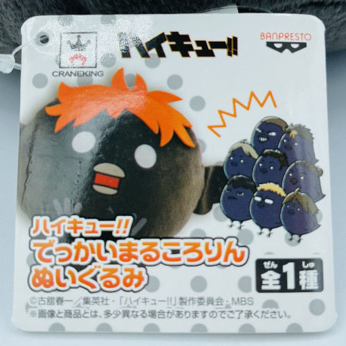 Haikyuu!! - Peluche Hinata Shoyo Hinagarasu Ver.